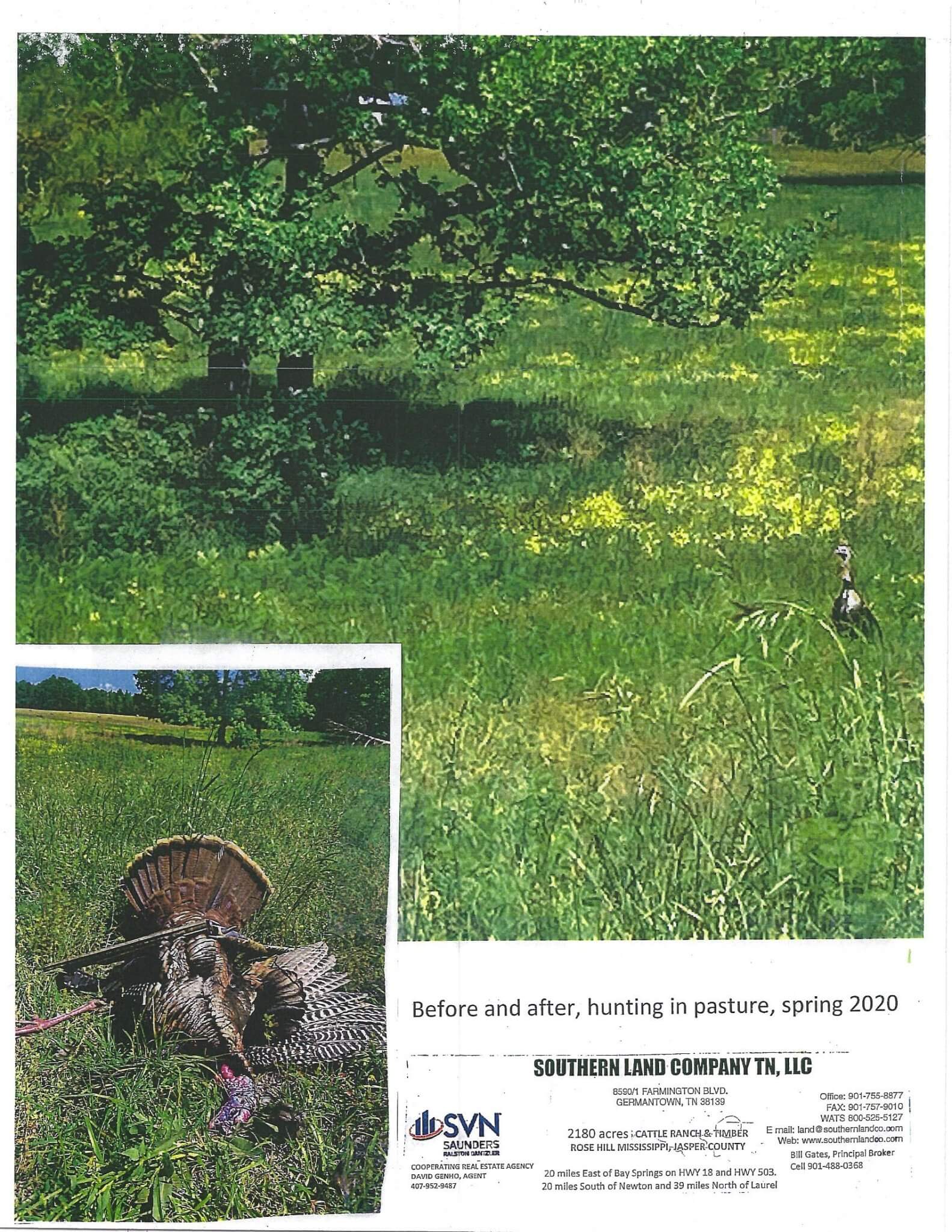 2180 ACRES CATTLE RANCH TIMBER ROSE HILL MS DEER TURKEY HUNTING Southern Land Company